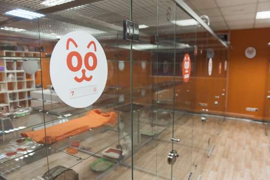 Открой гостиницу для животных вместе с BookingCat в Ижевске фото 4
