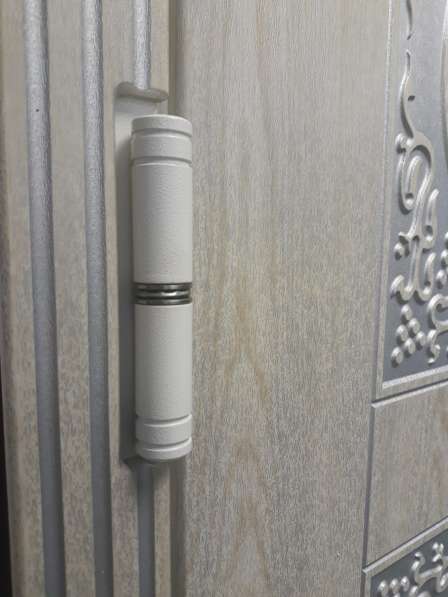 Дверь металлическая в дом с защитой от промерзания в Казани фото 3