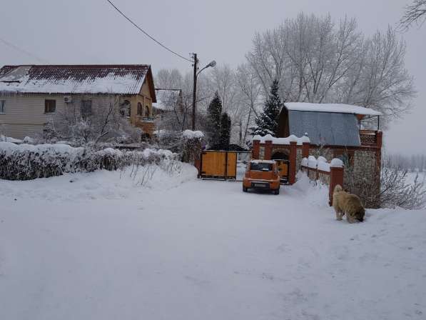Коттедж с кедровой баней и бассейном на бер. Волги в Самаре фото 30