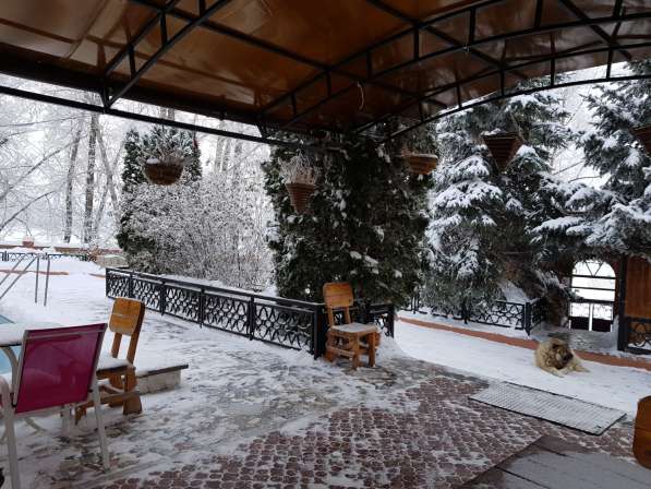 Коттедж с кедровой баней и бассейном на бер. Волги в Самаре фото 28