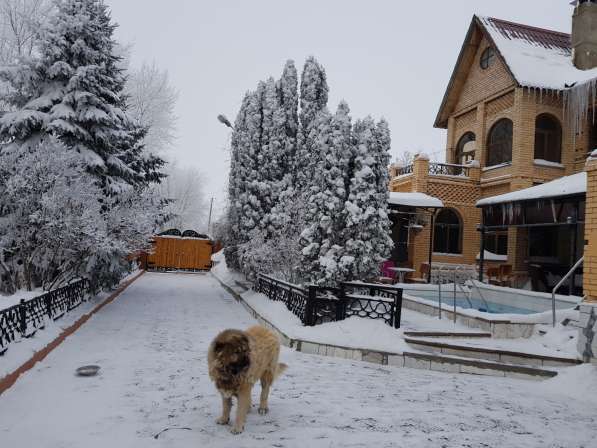 Коттедж с кедровой баней и бассейном на бер. Волги в Самаре фото 59