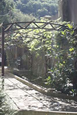 Дом под Геленджиком под мини-отель в Геленджике фото 41