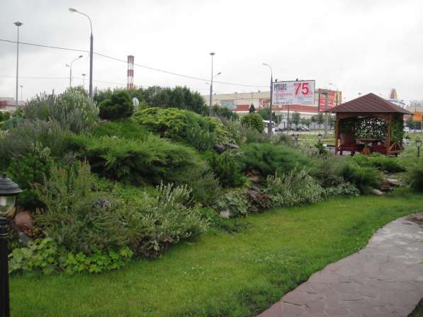 Озеленение и благоустройство в Москве фото 3
