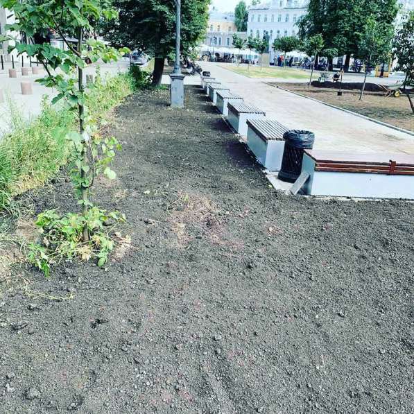 Благоустройство земельных участков и скос травы в Москве фото 8
