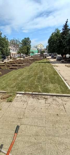Благоустройство земельных участков и скос травы в Москве фото 16