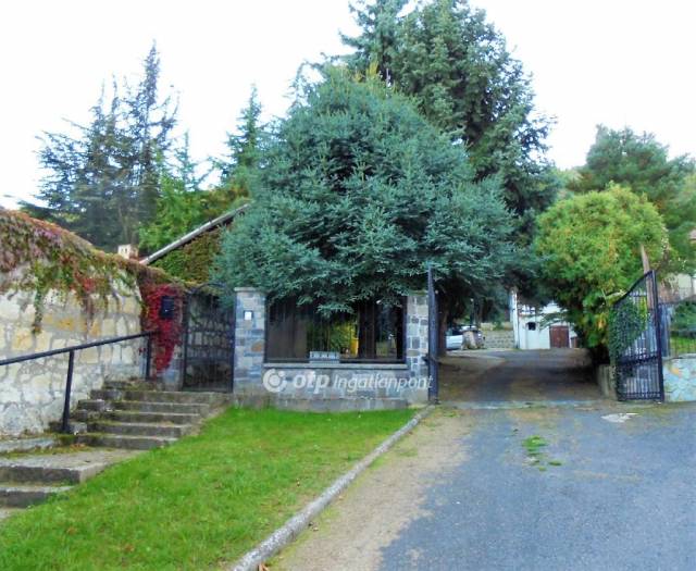 Tokajban 230 nm-es Ház borospincével és 2 zártkerti földterülettel, Belváros - Tokaj, Belváros - Eladó ház, Lakás 19