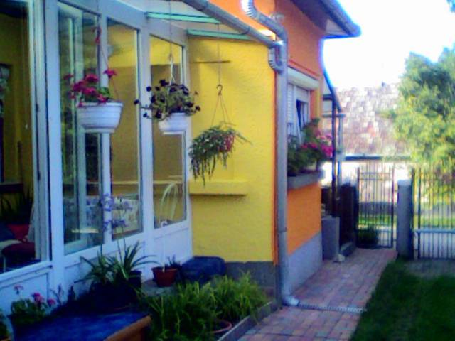 gasztro sétány útvonalán eladásra kínáljuk nagyon szépen felújított családi házunkat - Etyek, ófalú, Horváth utca 31 - Állat 32