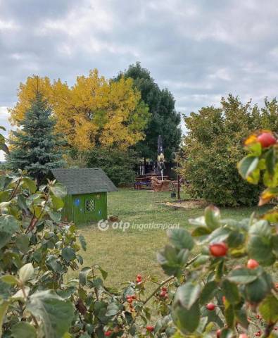 Eladó étterem, Gyomaendrőd - Gyomaendrőd, Nagylapos - Üzlethelyiség 9