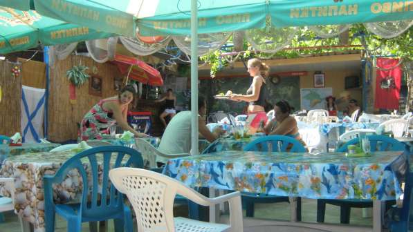 Продажа/долгосрочная аренда кафе в Крыму в Алуште фото 9