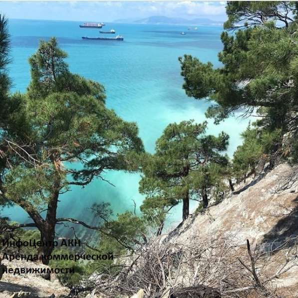 АРЕНДА КОММЕРЧЕСКОЙ НЕДВИЖИМОСТИ НА СЕЗОН 2025 года в Геленджике фото 3