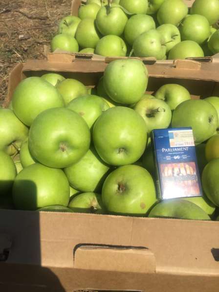 Яблоки оптом от производителя в Симферополе