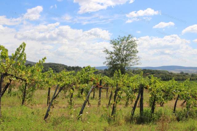 Eladó idill a Kőtenger partján - Szentbékkálla - Nyaraló 11