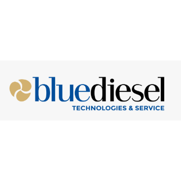 Blue Diesel - Lavori elettrici