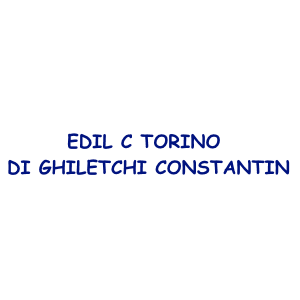 EDIL C TORINO DI GHILETCHI CONSTANTIN - Lavori in cartongesso