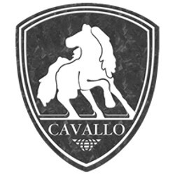 Autotrasporti Cavallo Giordano e Vallauri Spa - Vendita di attrezzature e macchine per impieghi speciali