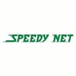 Speedy Net - Lavori di intonacatura