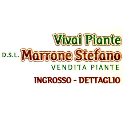 Vivaio Marrone Stefano +390823861481