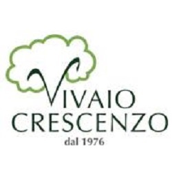 Vivaio Crescenzo +39069155375