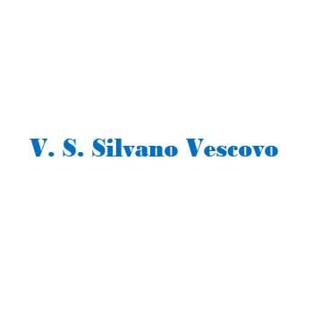 V. S. Silvano Vescovo - Installazione di controsoffitti