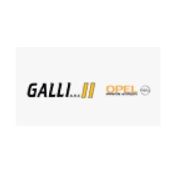 Galli - Opel - Vendita di camion
