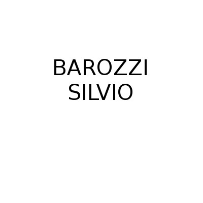 Barozzi Silvio Maestro Artigiano - Lavori di intonacatura