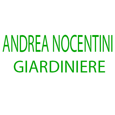 Andrea Nocentini Giardiniere - Paesaggistica