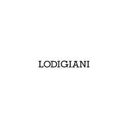 Lodigiani - Vendita di beni illiquidi