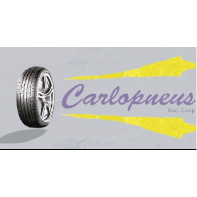 Carlopneus +390923998906