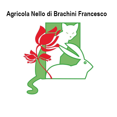 Agricola Nello di Brachini Francesco - Noleggio di attrezzature e macchine per impieghi speciali