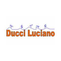 DUCCI LUCIANO +393398660730