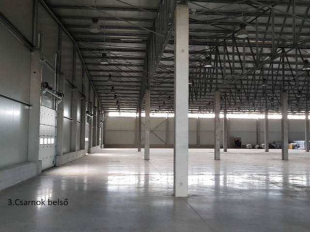 Kiadó 10000 m2-es üzlethelyiség Sárbogárd - Sárbogárd - Üzlethelyiség 3