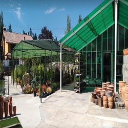 Centro De Jardineria Alpedrete - Losas de pavimentación