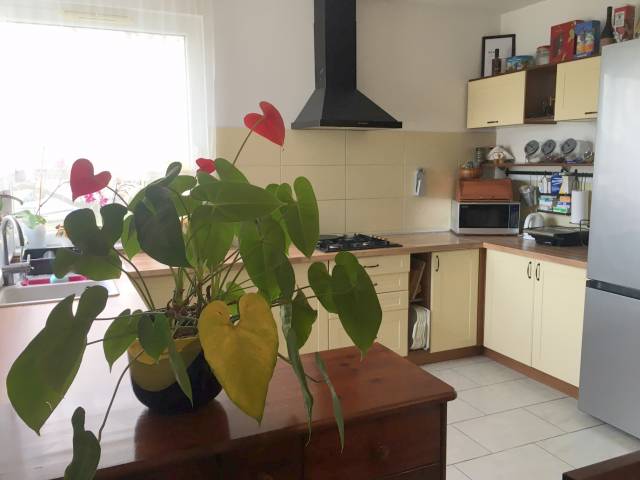 Eladó 165 m2-es családi ház Nyíregyháza - Nyíregyháza - Családi ház 4