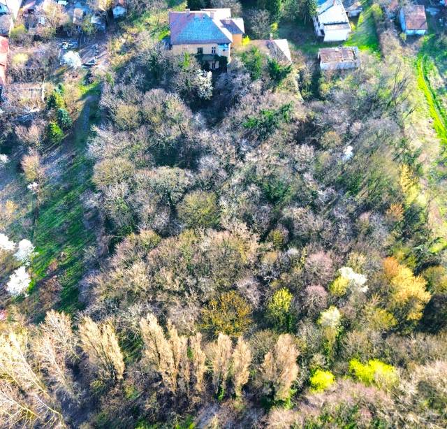 Eladó 570 m2-es kastély Gyömrő, Gróf Teleki Pál utca - Gyömrő, Gróf Teleki Pál utca - Kastély 28