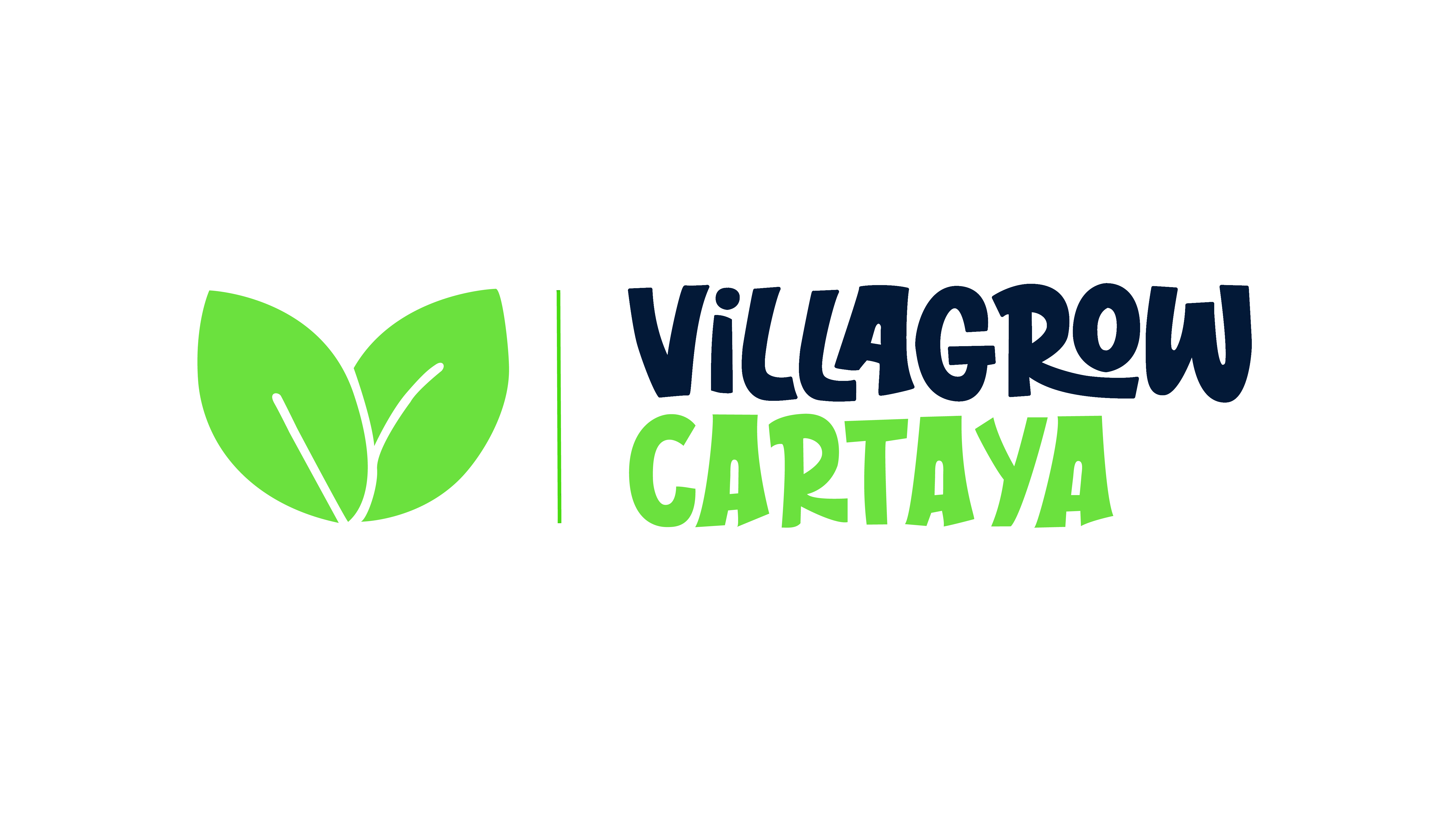 Villagrow Cartaya - Venta de activos no líquidos