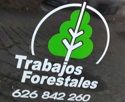 Trabajos Forestales Fernando - Obras de fontanería