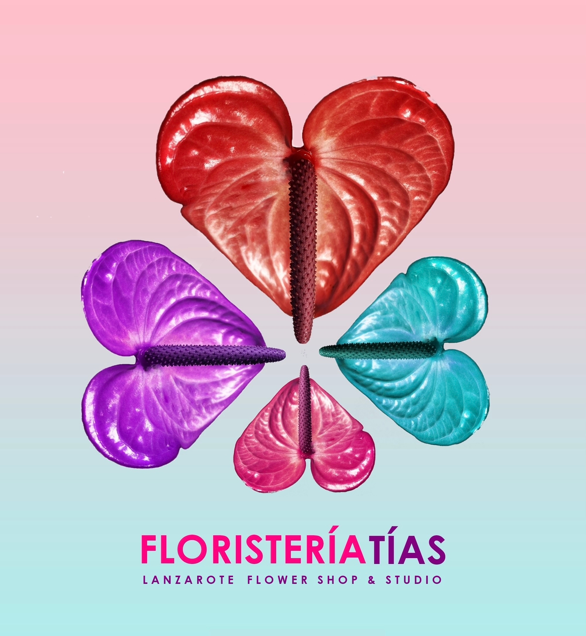 Florister\u00EDa Tias +34928834461