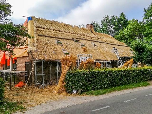 Nádtető készítés , Felújítás - Siófok, Velence , Balaton - Egyéb szolgáltatások 0