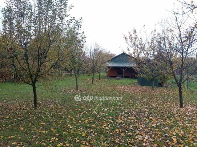 Eladó Telek, Mezőtúr - Mezőtúr, Potyka utca - Nyaraló 6